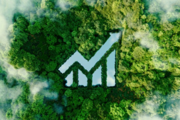 一架轻型飞机在莫斯科州坠毁 四人遇难